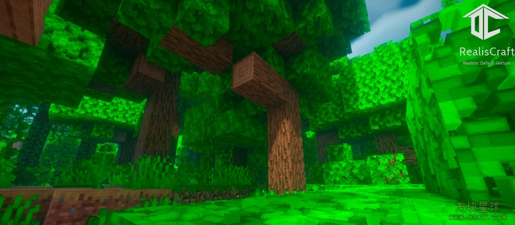 【1.13-1.20.4】【原版3D凹凸】RealisCraft 超真实高清材质包JAVA版