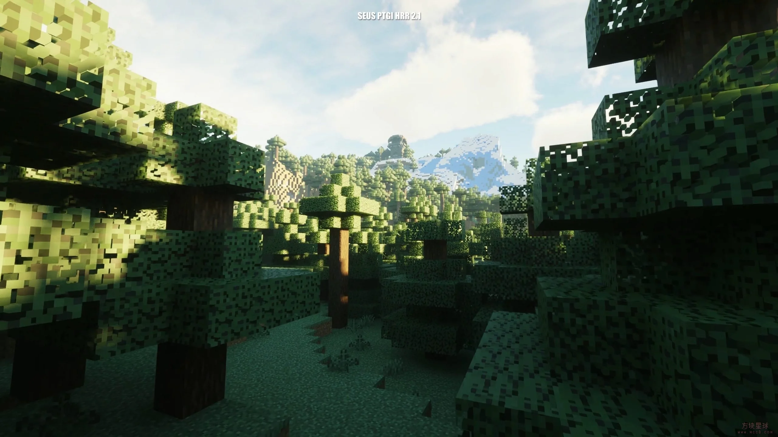 【1.8-1.20.1】SEUS PTGI HRR 2.1光影