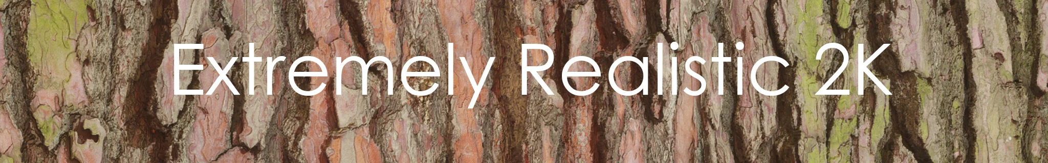 中国首个正式发布的2K材质包【Extremely Realistic 2K 丨身 临 其 境丨】