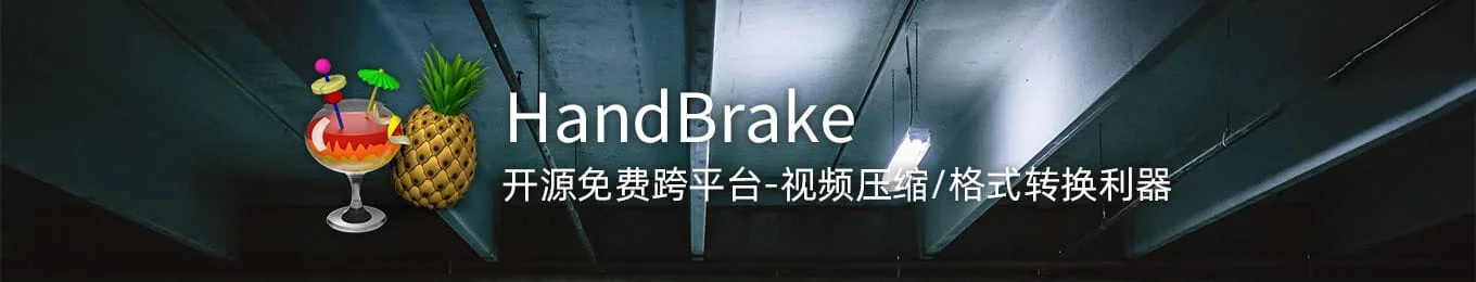 HandBrake 1.10.2 开源免费视频压缩/格式转换工具