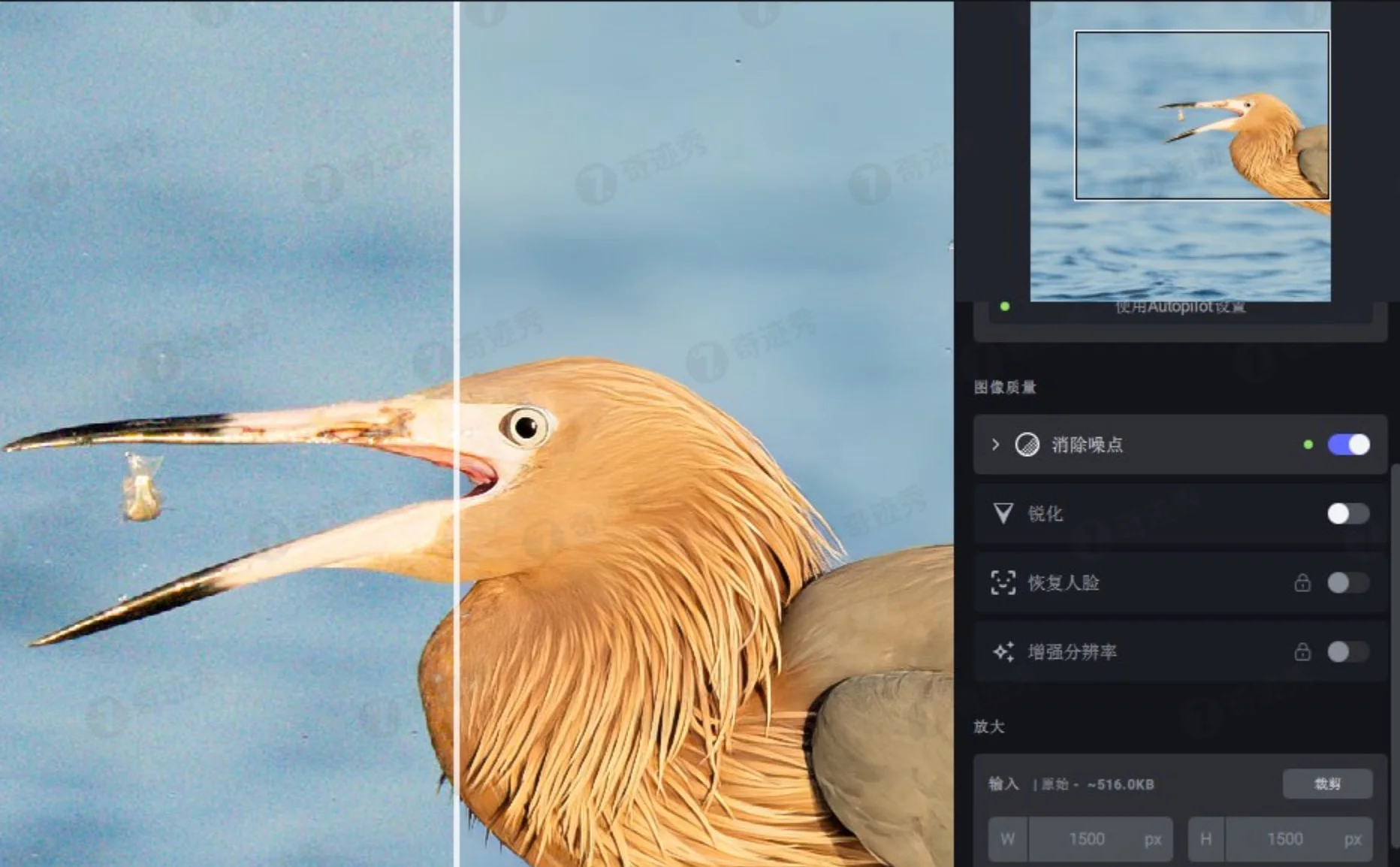 Topaz Photo AI v4.0.4 AI智能图像自动降噪锐化增强