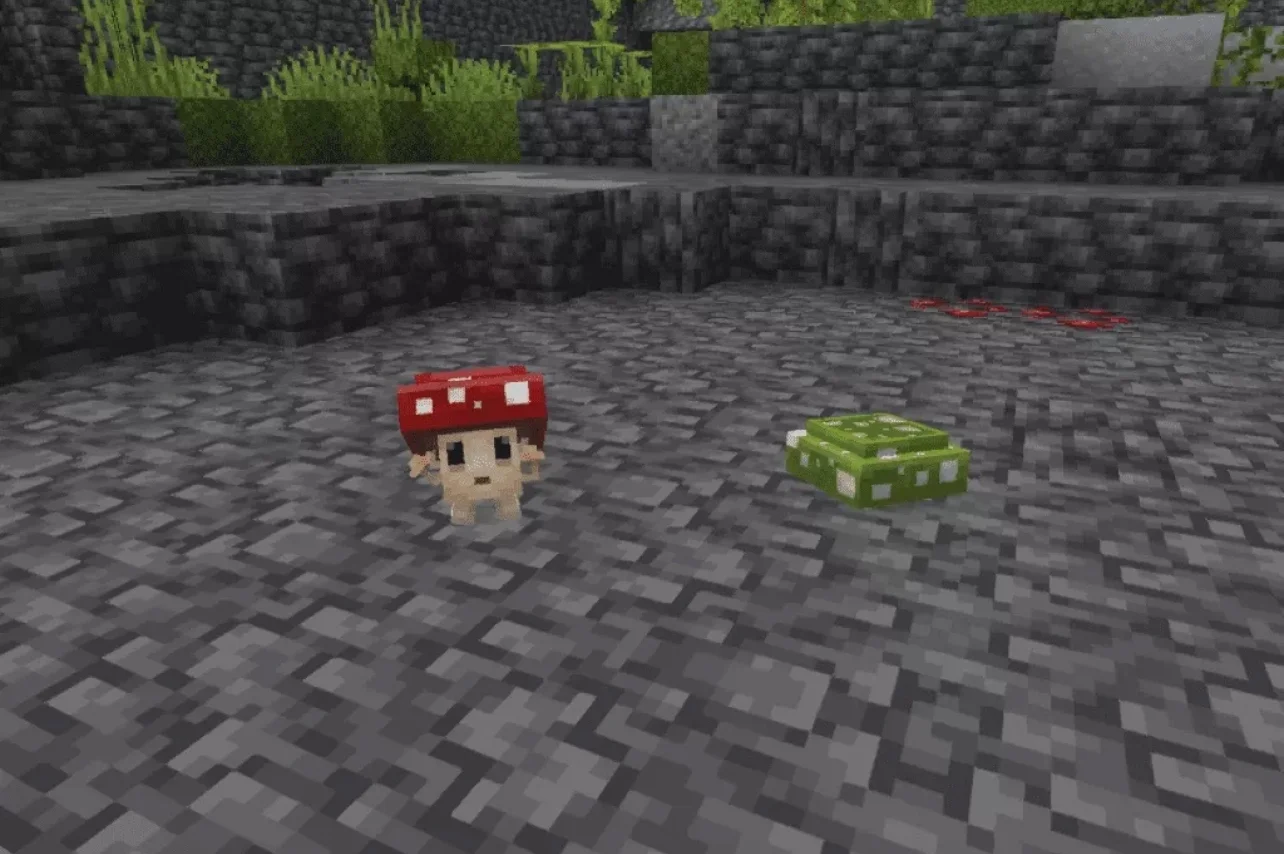 2a053b58829bec21c0722a6bb1e7b6d