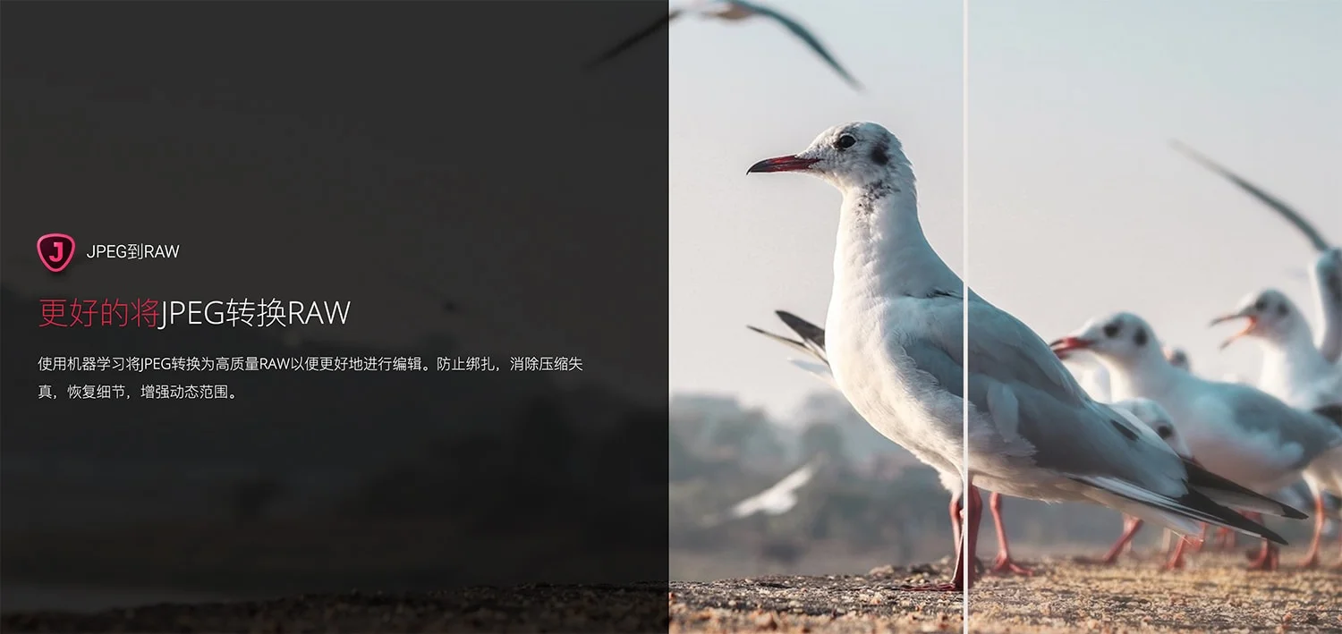 Topaz JPEG to RAW AI.v2.2.1 JPEG转RAW压缩失真恢复颜色细节 汉化版