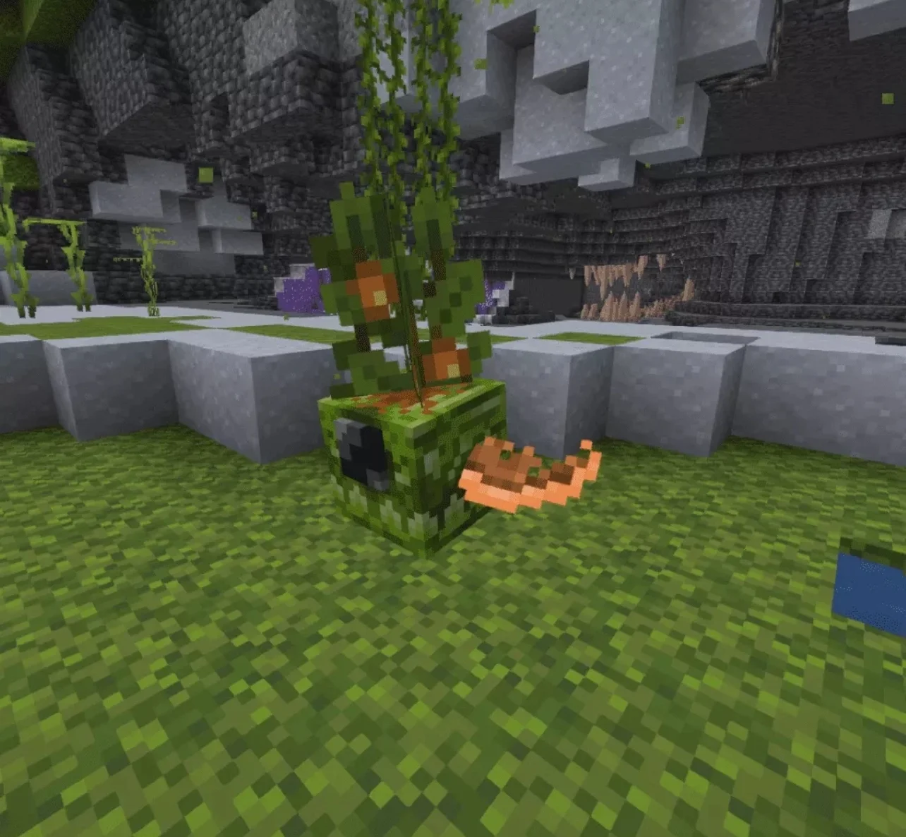 545246bf4e40197e62012dbad7b421b