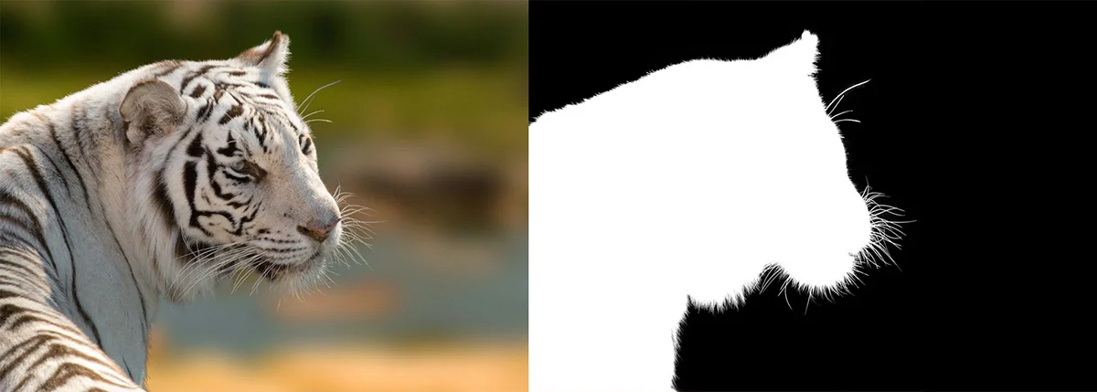 Topaz ReMask 5 一键抠图汉化版