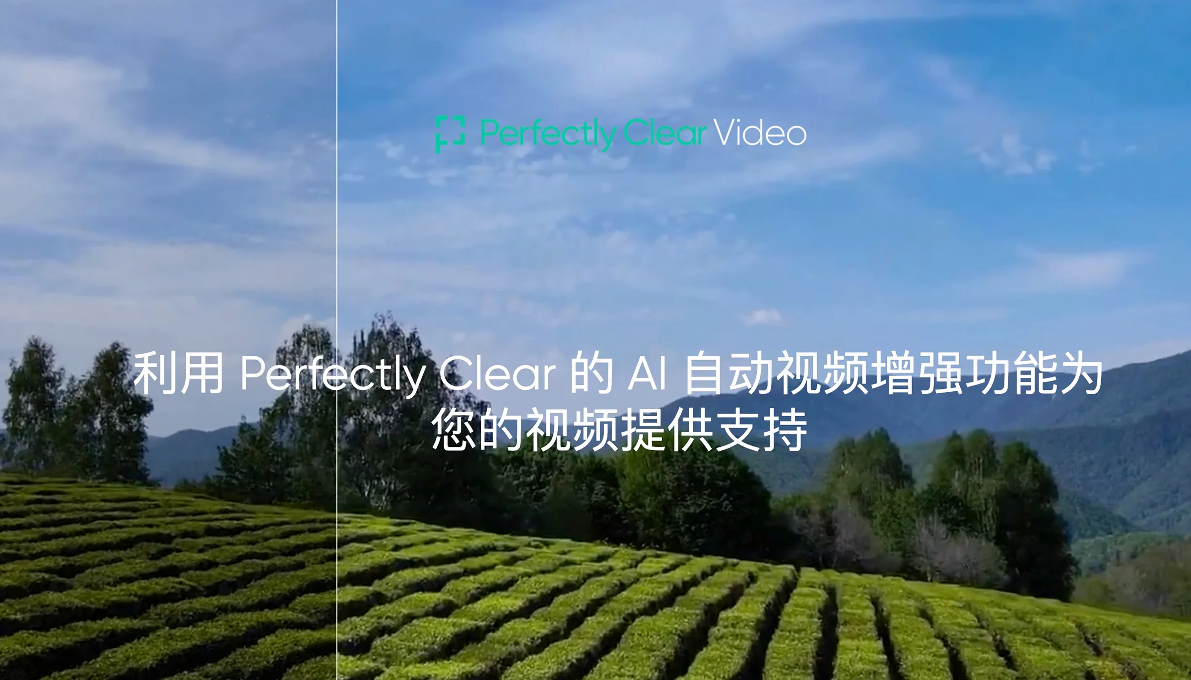 Perfectly Clear Video 4.6.1.2678 AI视频清晰化处理
